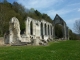 Ruines du Prieuré Ste Trinité  XI - XII ème