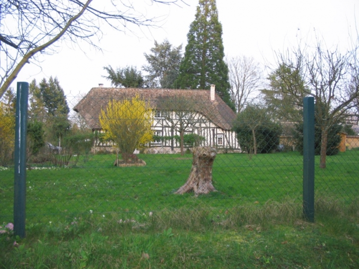 Maison Normande  - Bérengeville-la-Campagne
