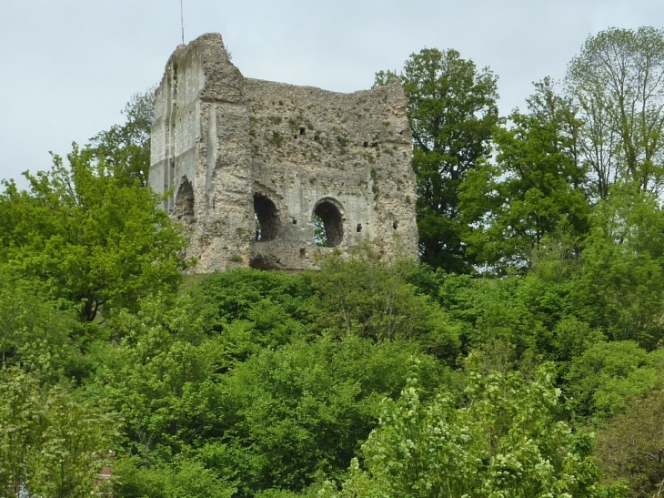 Brionne - ruines du donjon du château  XIème