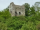 Photo précédente de Brionne Brionne - ruines du donjon du château  XIème