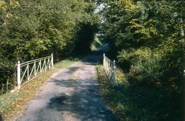 Petit pont - Gouttières