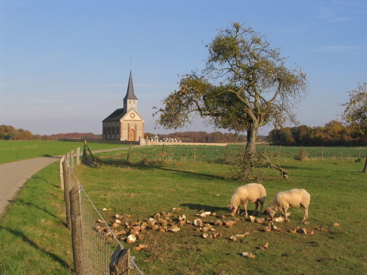 église Saint-Aubin - Le Mesnil-Fuguet