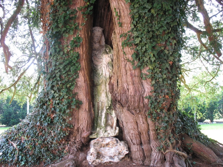 La Vierge dans le tronc d'arbre - Le Troncq