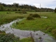 Photo suivante de Saint-Pierre-du-Val La rivière 