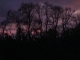 Photo précédente de Fultot un coucher de soleil derrière des vieux chênes à Fultot