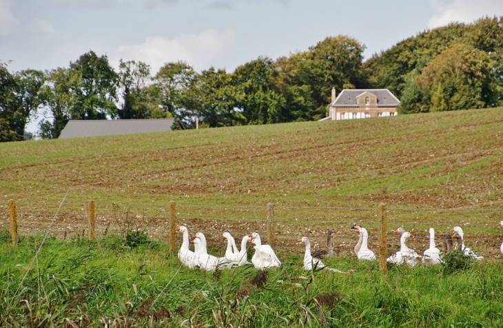 La Campagne - Graimbouville