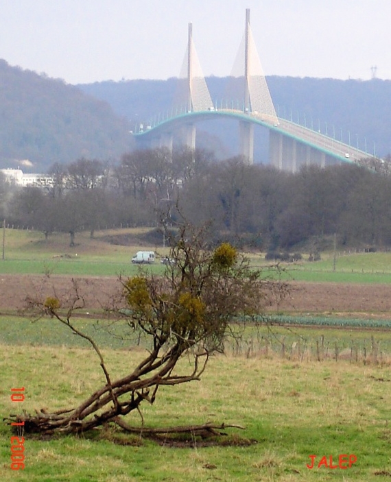 Plaine du Fayel et Pont de Brotonne - Saint-Nicolas-de-Bliquetuit