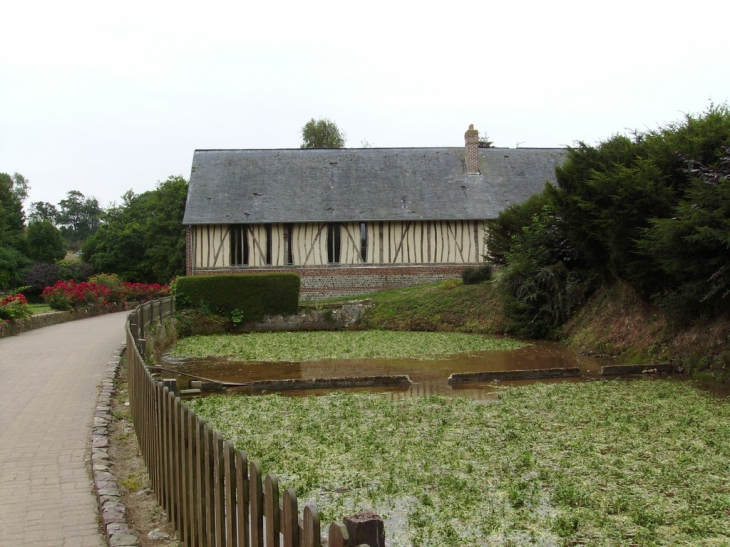 Ville de cressonnières - Veules-les-Roses