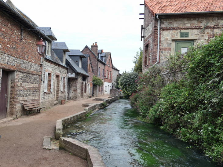 Le circuit du plus petit fleuve de France la Veusles 1149 m : les pucheux - Veules-les-Roses