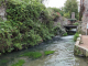 Photo suivante de Veules-les-Roses le circuit du plus petit fleuve de France la Veusles 1149 m : les pucheux