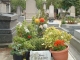 Tombe de Jean Carmet au cimetière du Montparnasse