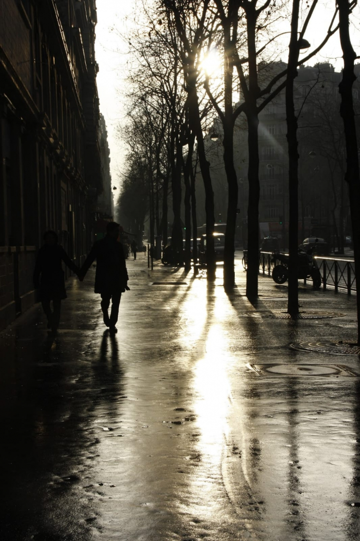 Après la pluie  - Paris 16e Arrondissement