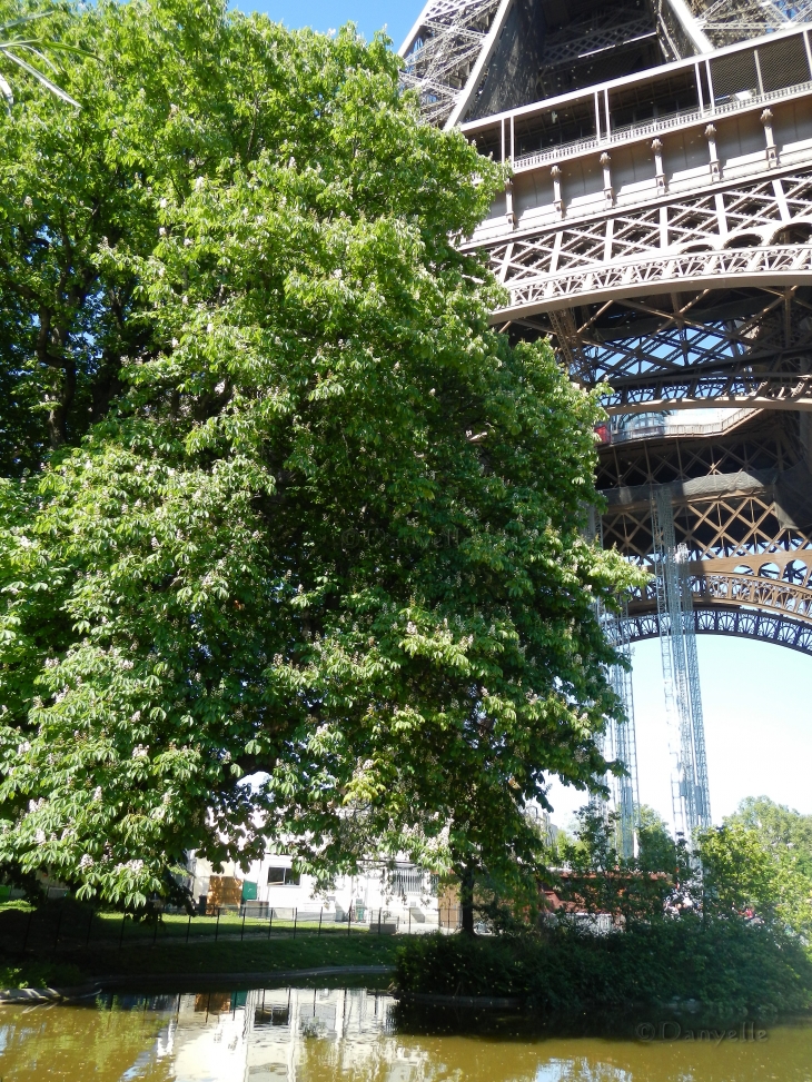 Tour Eiffel et étang qui est juste à côté il faut le voir aussi c'est très beau - Paris