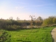 Photo suivante de Chanteloup-en-Brie étang de la Jonchere