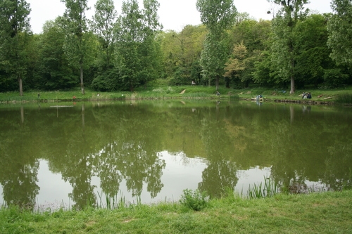 L'étang - Villeparisis