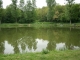 Photo précédente de Villeparisis L'étang