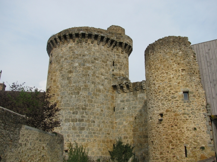Chateau de la Madeleine - Chevreuse