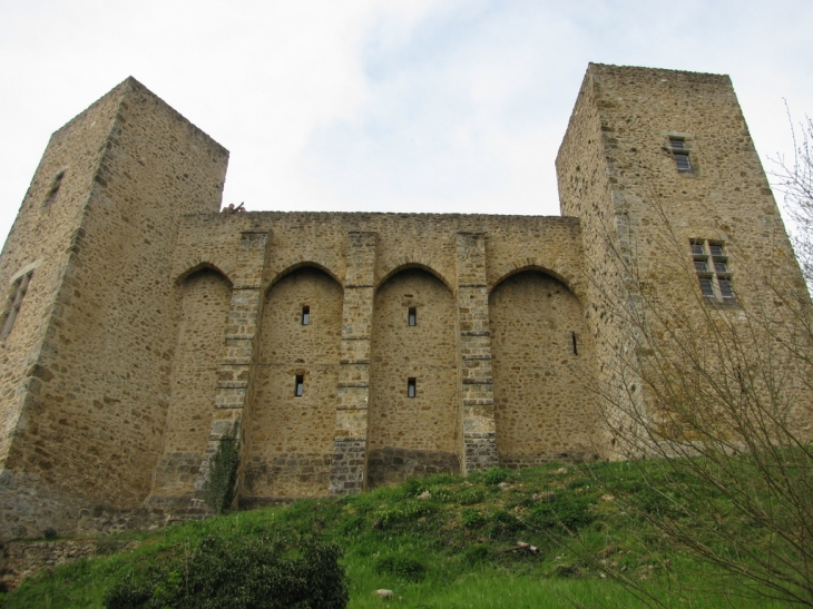 Chateau de la Madeleine - Chevreuse