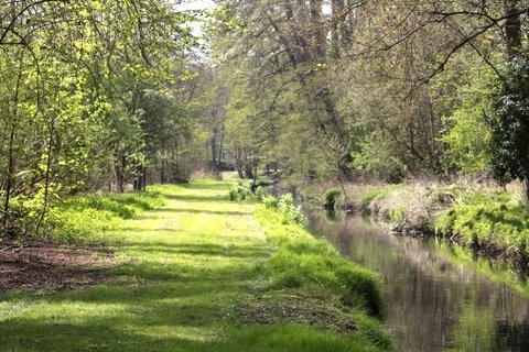 Promenade autour de l'étang  - Gazeran