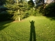 Photo suivante de Marly-le-Roi ombre-lumiere