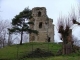 ruines-de-la-tour-du château anne-de-bretagne