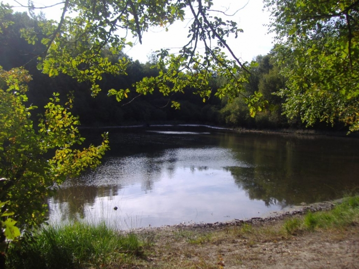 L'étang du Roi - Poigny-la-Forêt