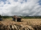 Photo précédente de Le Tampon récolte canne à sucre au Tampon