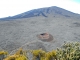 le volcan : le piton de la Fournaise et le Formica Leo