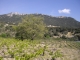 Photo précédente de Duilhac-sous-Peyrepertuse Autour du village, dans les vignes