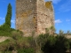 Vue de la tour en contre-plongée avec cyprès en 1er Plan