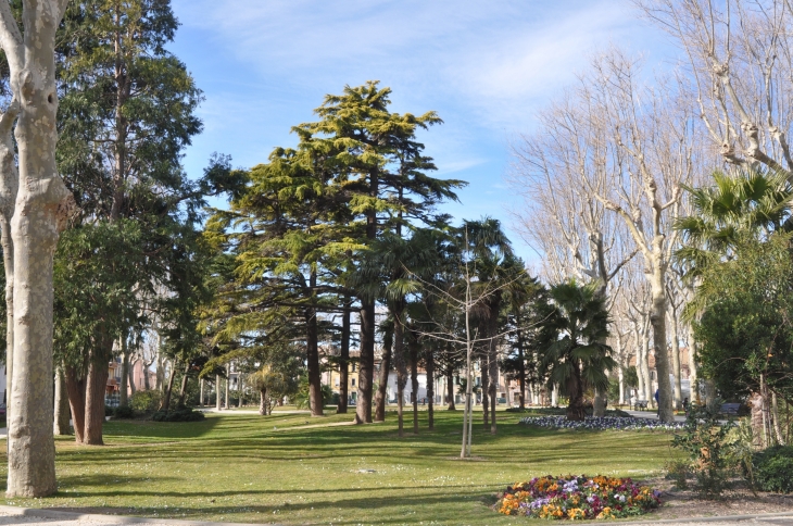 Jardin - Narbonne