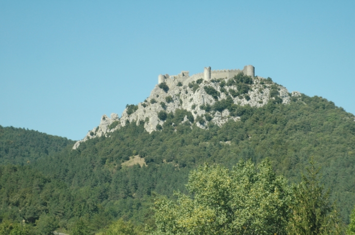 Le Château - Puilaurens