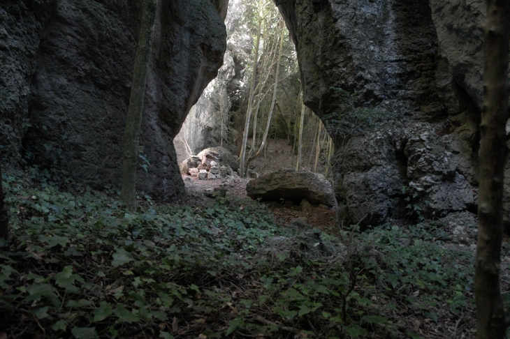 Le trou du sureau JMK - Rouffiac-des-Corbières