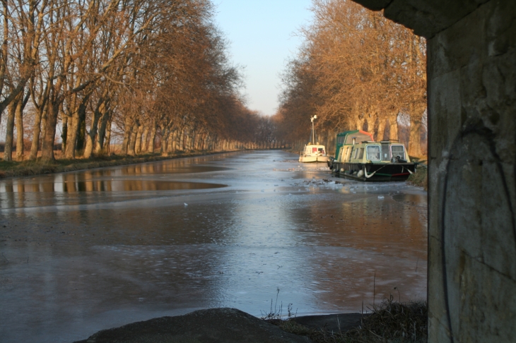 Canal gelé - Saint-Nazaire-d'Aude