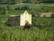 La chapelle, perdue dans les vignes