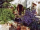 entrée de l'atelier de faïence: Poterie du Jardin Feuri