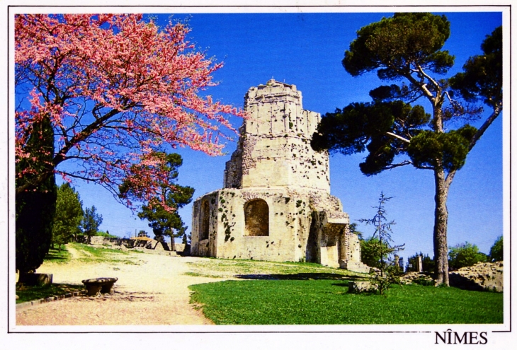Tour Magne (carte postale 1990). - Nîmes