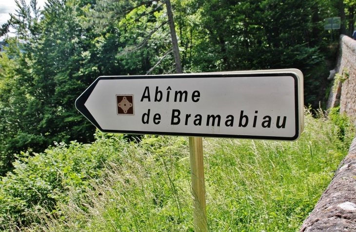 Abîme de Bramabiau - Saint-Sauveur-Camprieu