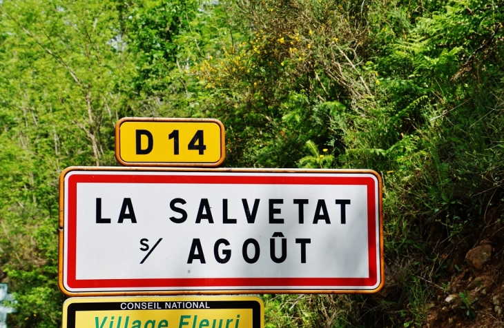  - La Salvetat-sur-Agout