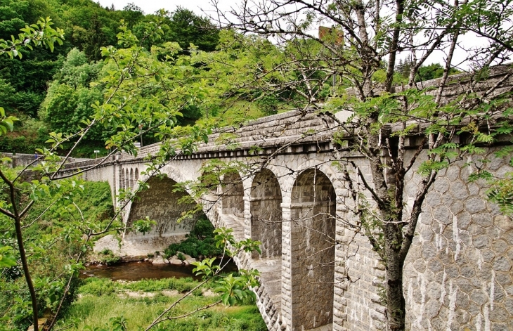 Pont sur l'Agout - La Salvetat-sur-Agout