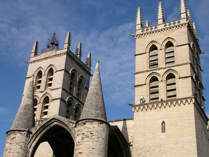 La cathédrale - Montpellier