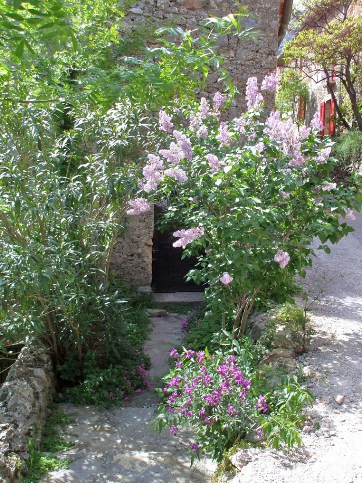 Village fleuri - Saint-Jean-de-Buèges