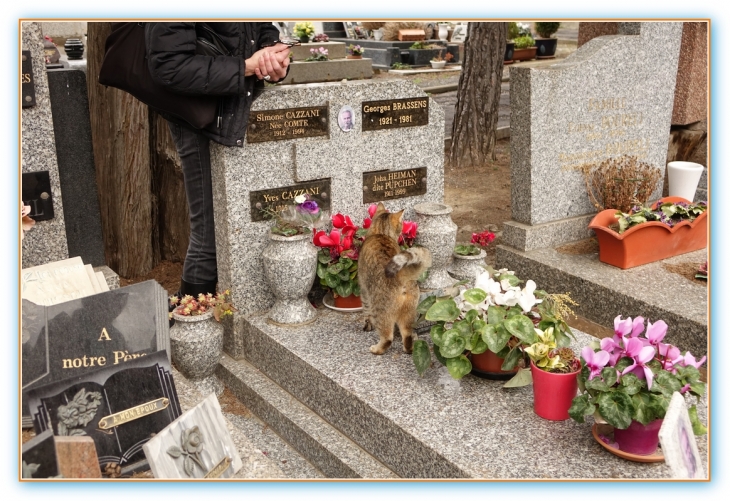 La Tombe de Georges Brassens - Sète