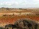 Photo précédente de Vendres vignoble AOC en automne
