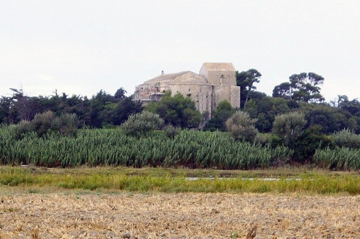 Vue sur l'ancienne cathédrale - Villeneuve-lès-Maguelone