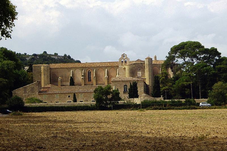 L'abbaye de Valmagne - Villeveyrac