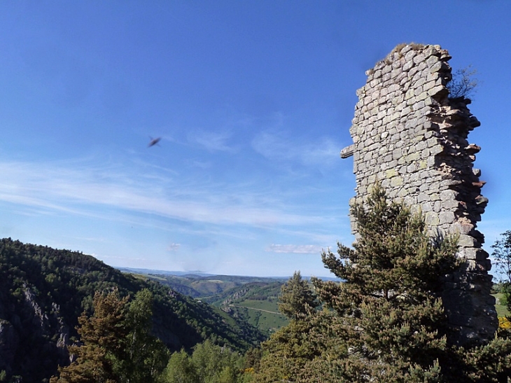 Vue panoramique des ruines du château - Arzenc-d'Apcher