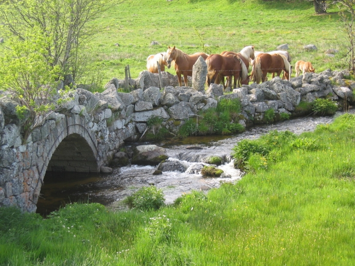 Le petit pont du hameau de Donnepeau - Arzenc-de-Randon