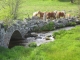 Photo suivante de Arzenc-de-Randon le petit pont du hameau de Donnepeau