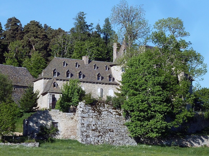 Vue sur le château - Fournels